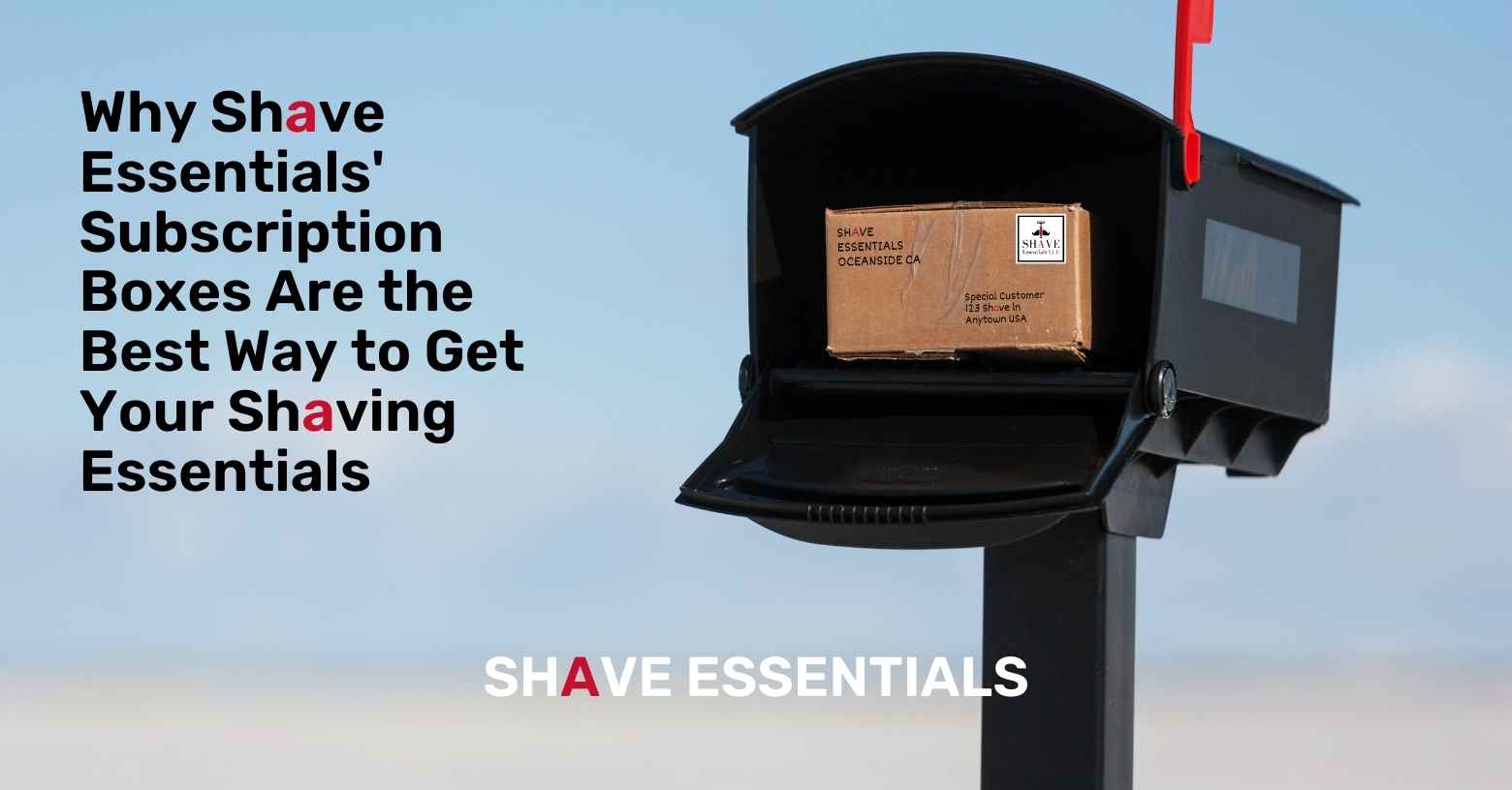 Why Shave Essentials' Subscription Boxes Are the Best Way to Get Your Shaving Essentials - Shave Essentials