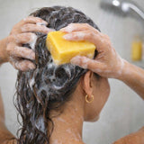 Citrus Shampoo Bar - Shave Essentials